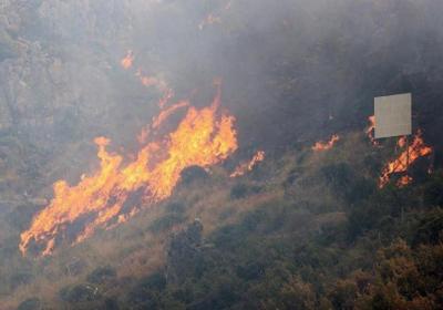 意大利西西里岛林火肆虐，部分学校关闭