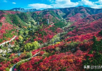 山东未来几天气温回升！济南“红叶地图”来啦，一起感受斑斓的秋色～