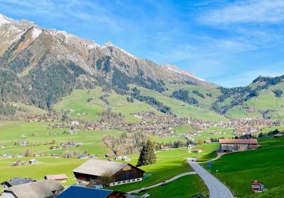 瑞士回来，难以置信只有860多万人口瑞士，发展成这样了