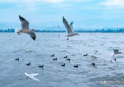 四川也有一个“大海”，相当于5个杭州西湖，听名字以为在海南