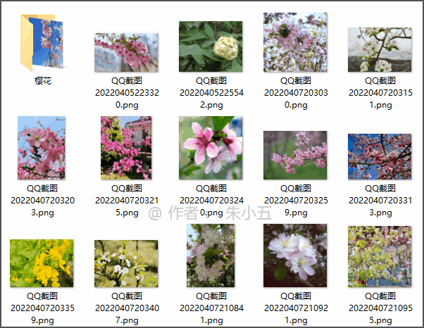 Python怎么实现识别花卉种类