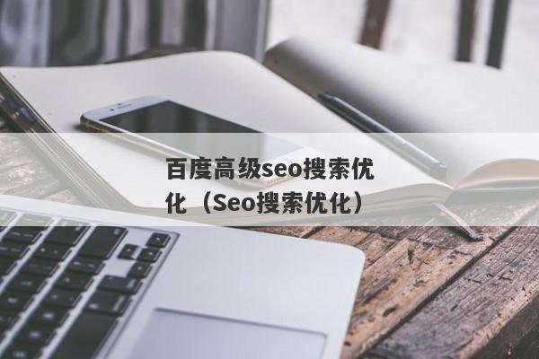 百度高级seo搜索优化（Seo搜索优化）