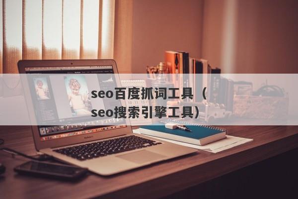 seo百度抓词工具（seo搜索引擎工具）
