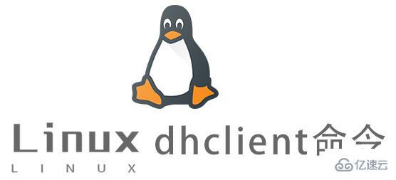 Linux常用命令dhclient怎么用