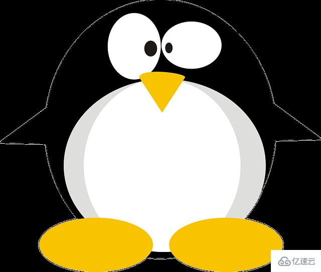 Linux的ss命令怎么使用