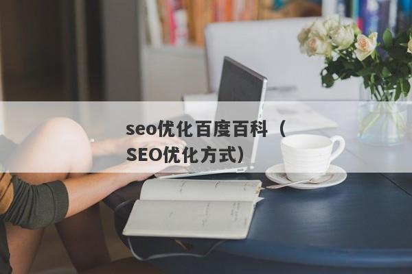 seo优化百度百科（SEO优化方式）