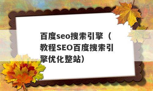 百度seo搜索引擎（教程SEO百度搜索引擎优化整站）