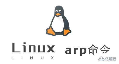 Linux中如何使用arp命令