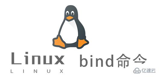 Linux中bind命令怎么用