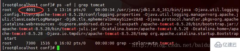 Linux系统如何启动Tomcat