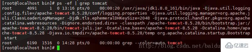 Linux系统如何启动Tomcat