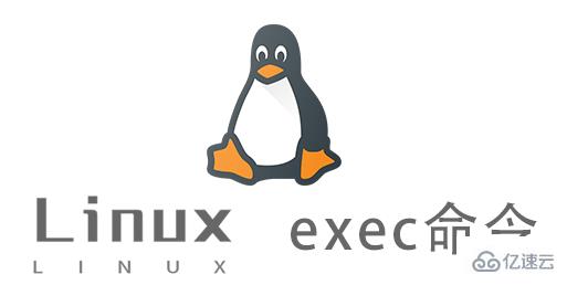 Linux exec命令怎么用