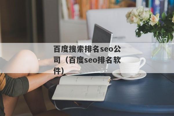 百度搜索排名seo公司（百度seo排名软件）