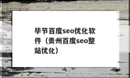 毕节百度seo优化软件（贵州百度seo整站优化）
