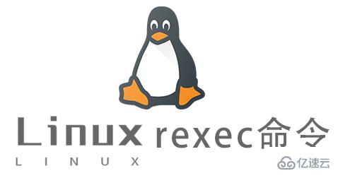Linux常用命令rexec怎么用