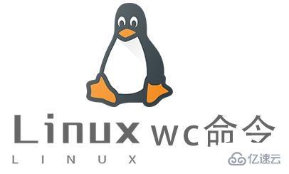 Linux中wc命令怎么用