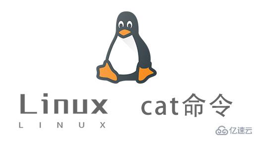 如何使用Linux中的cat命令