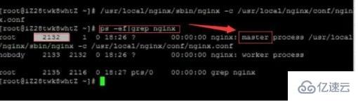 Linux系统中怎么启动nginx
