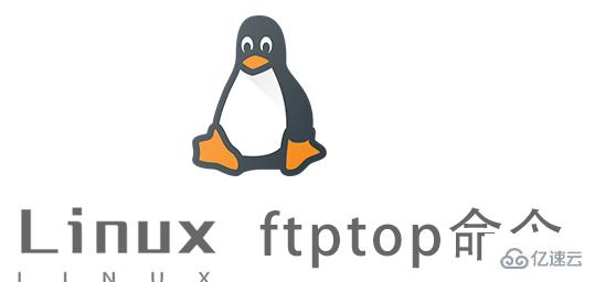 Linux的ftptop命令有什么作用