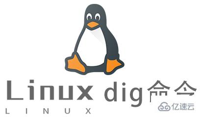 Linux的dig命令怎么使用