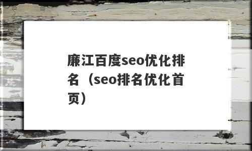 廉江百度seo优化排名（seo排名优化首页）