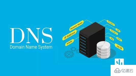 DNS服务器的信息怎么查看