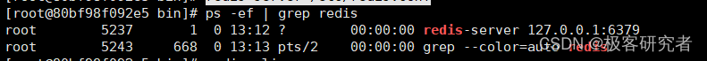 在Centos 8.0中如何安装Redis服务器